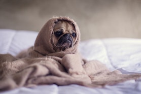 Sparkalender - Wie spare ich im ganzen Jahr? Sparkalender - Wie spare ich im ganzen Jahr?