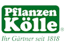 Pflanzen Kölle