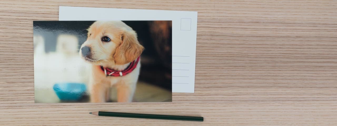 PosterXXL Postkarten gestalten