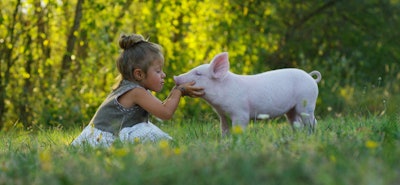 Lust auf ein veganes Leben? Der Veganuary 2022