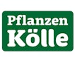 Pflanzen Kölle Pflanzen Kölle