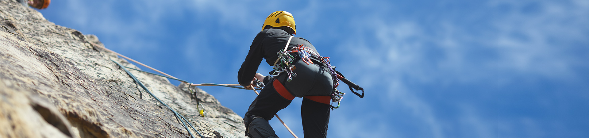 Lebensversicherung Vergleich