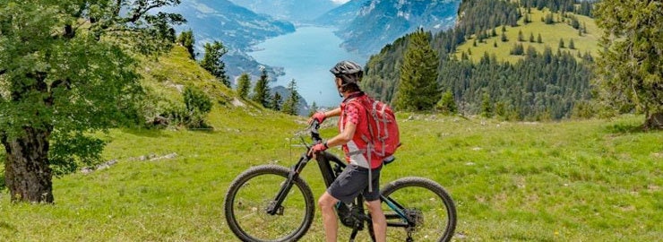 Angebote für Elektrofahrräder