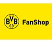 BVB BVB