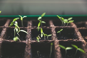 50 Ideen für deinen Garten für unter 100€ 50 Ideen für deinen Garten für unter 100€