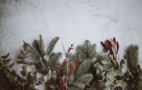 Besinnliche Inspiration und Ideen für die Weihnachtsdeko Besinnliche Inspiration und Ideen für die Weihnachtsdeko